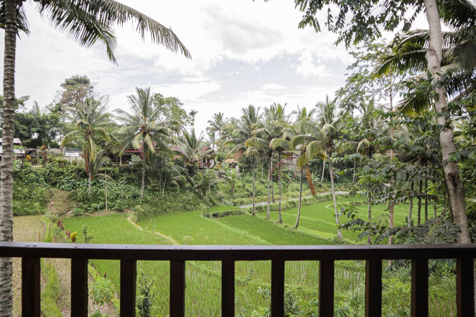 Nea Cottage Lombok Tetebatu Εξωτερικό φωτογραφία