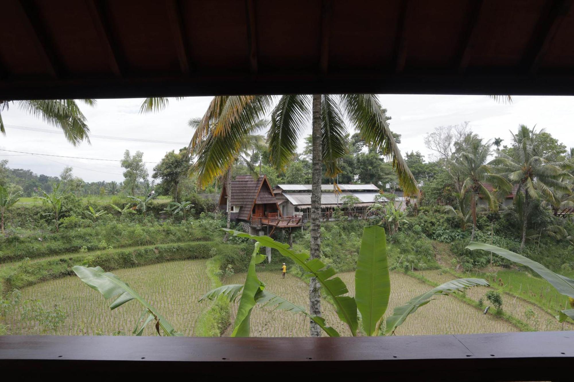 Nea Cottage Lombok Tetebatu Εξωτερικό φωτογραφία