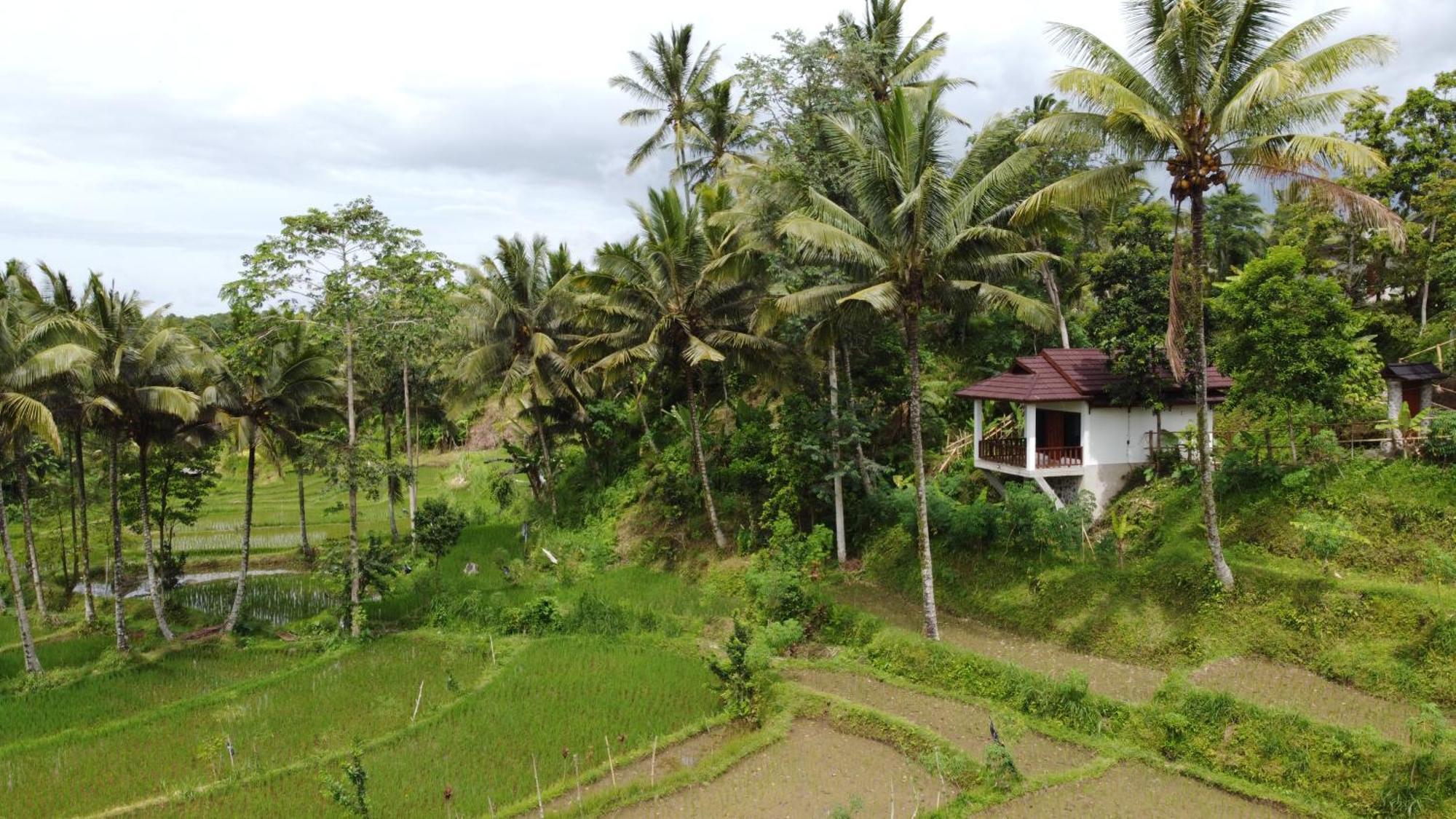 Nea Cottage Lombok Tetebatu Εξωτερικό φωτογραφία