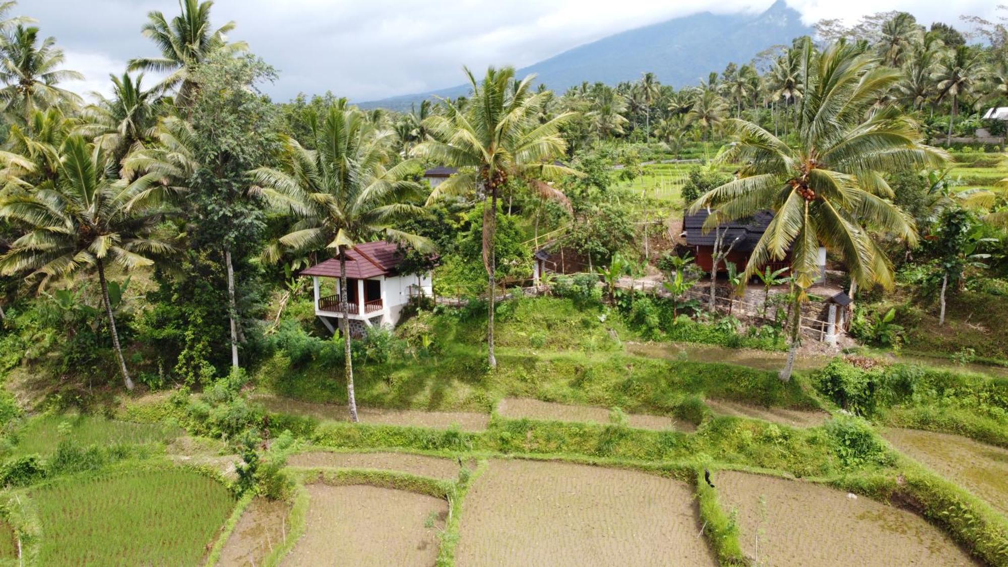 Nea Cottage Lombok Tetebatu Εξωτερικό φωτογραφία