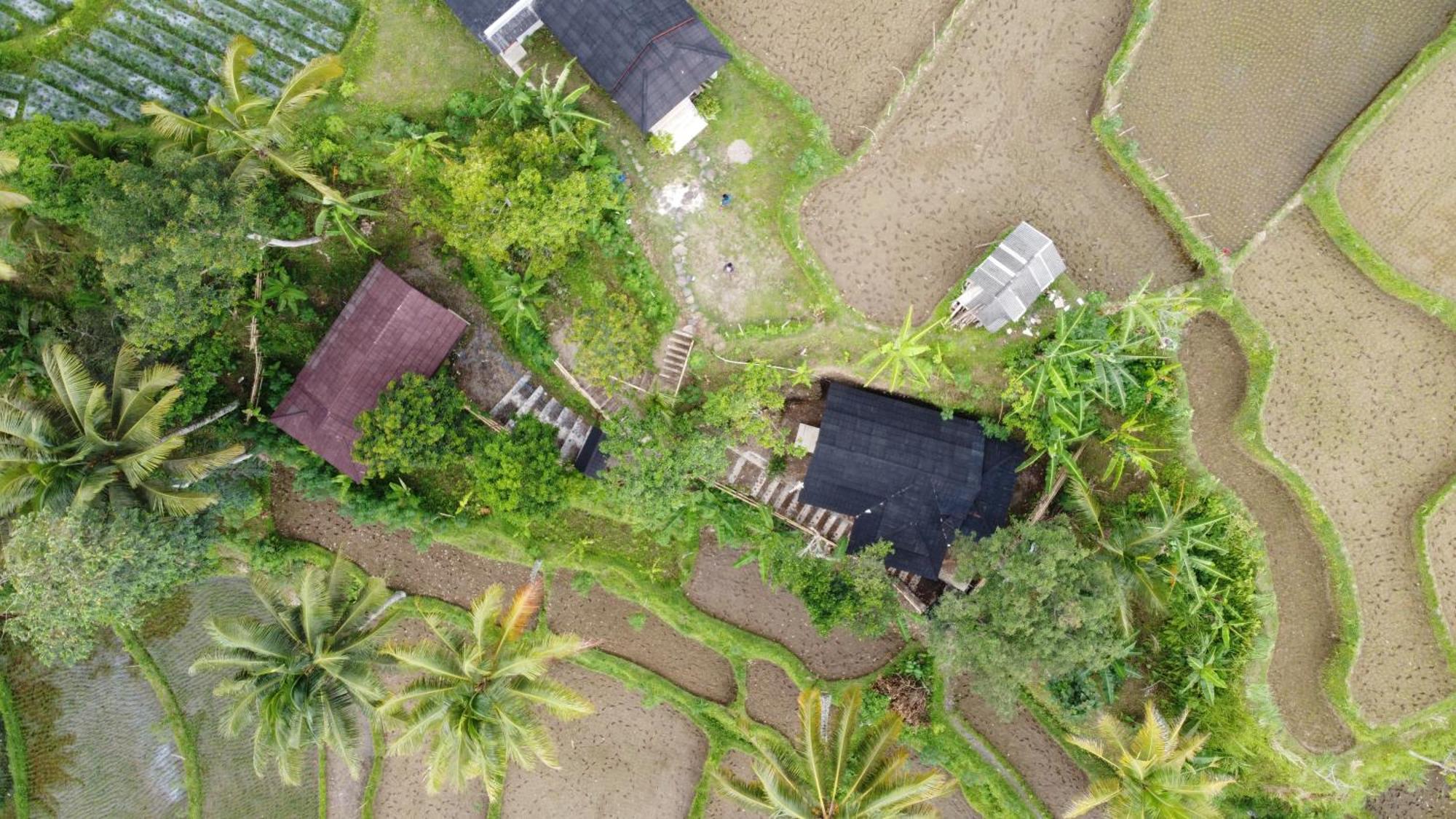 Nea Cottage Lombok Tetebatu Εξωτερικό φωτογραφία
