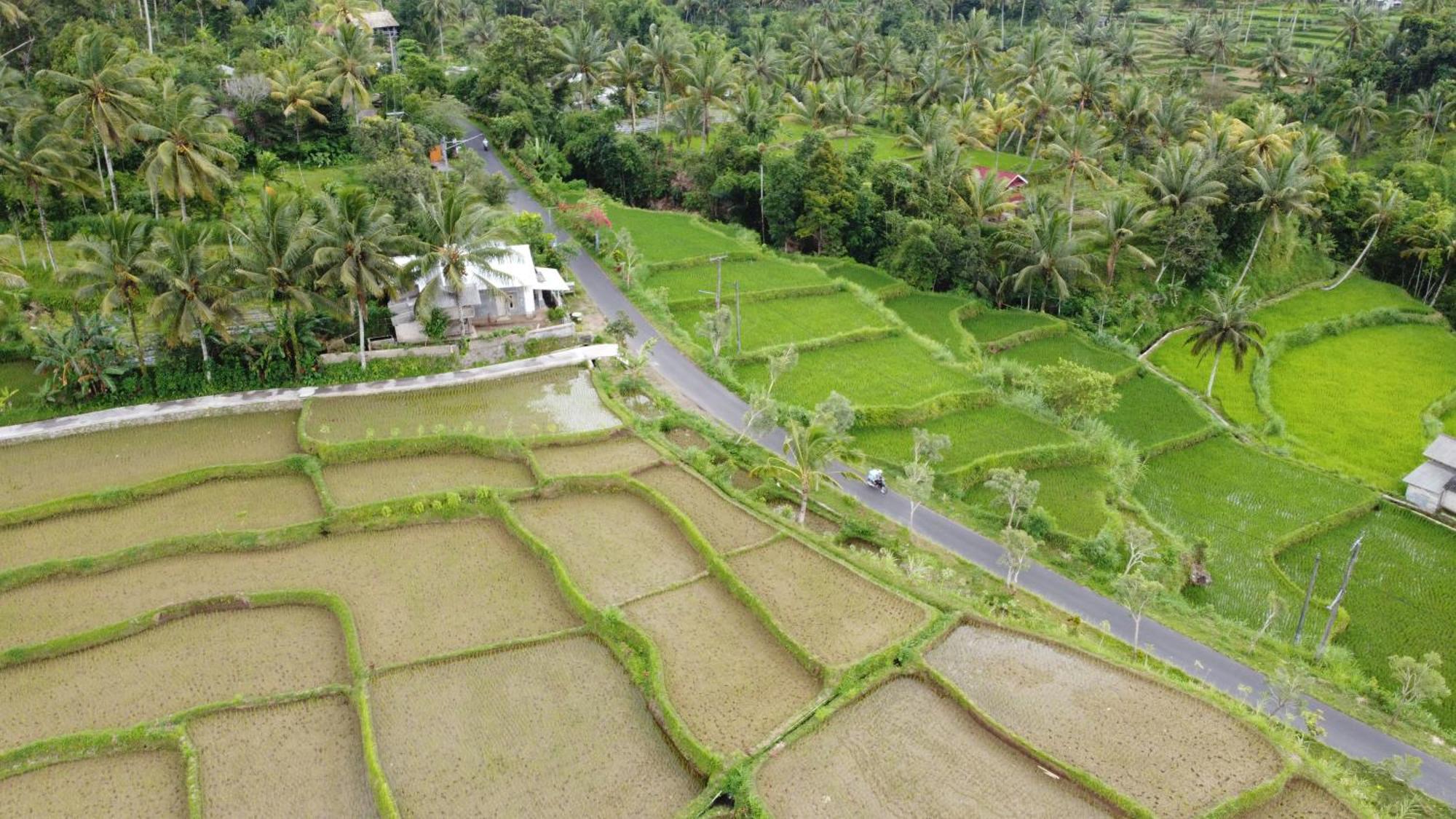 Nea Cottage Lombok Tetebatu Εξωτερικό φωτογραφία