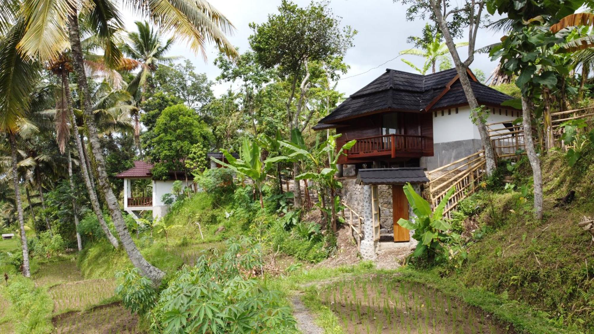 Nea Cottage Lombok Tetebatu Εξωτερικό φωτογραφία