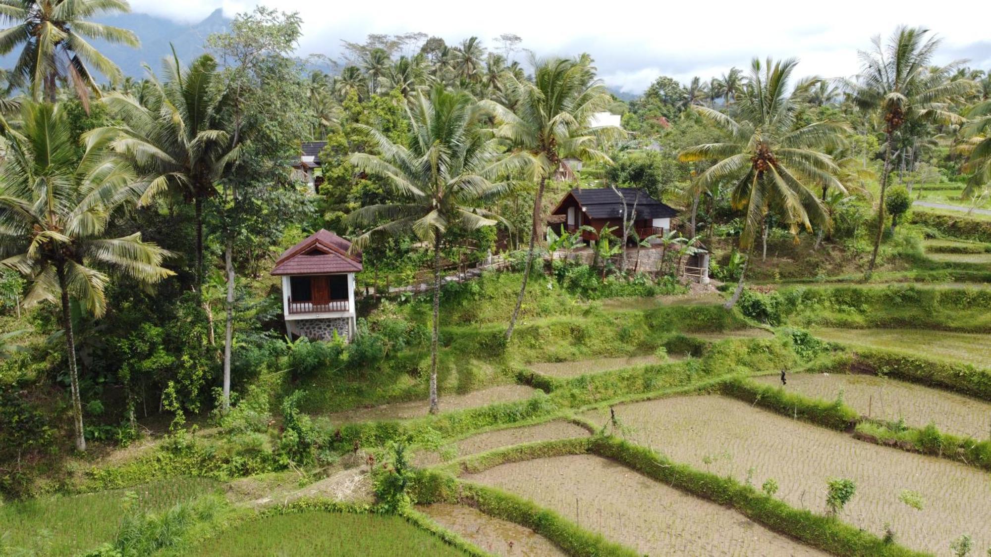 Nea Cottage Lombok Tetebatu Εξωτερικό φωτογραφία