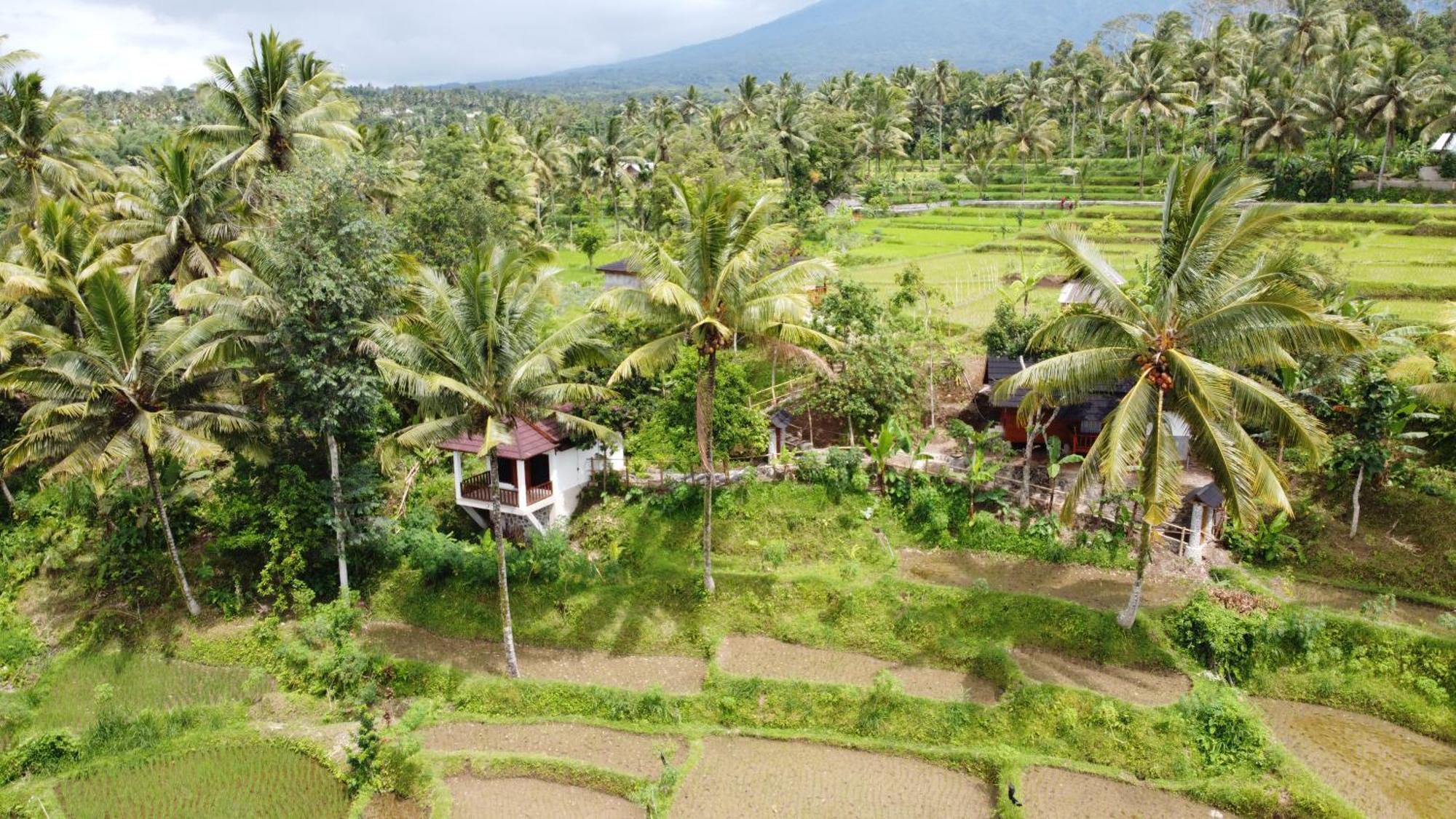 Nea Cottage Lombok Tetebatu Εξωτερικό φωτογραφία