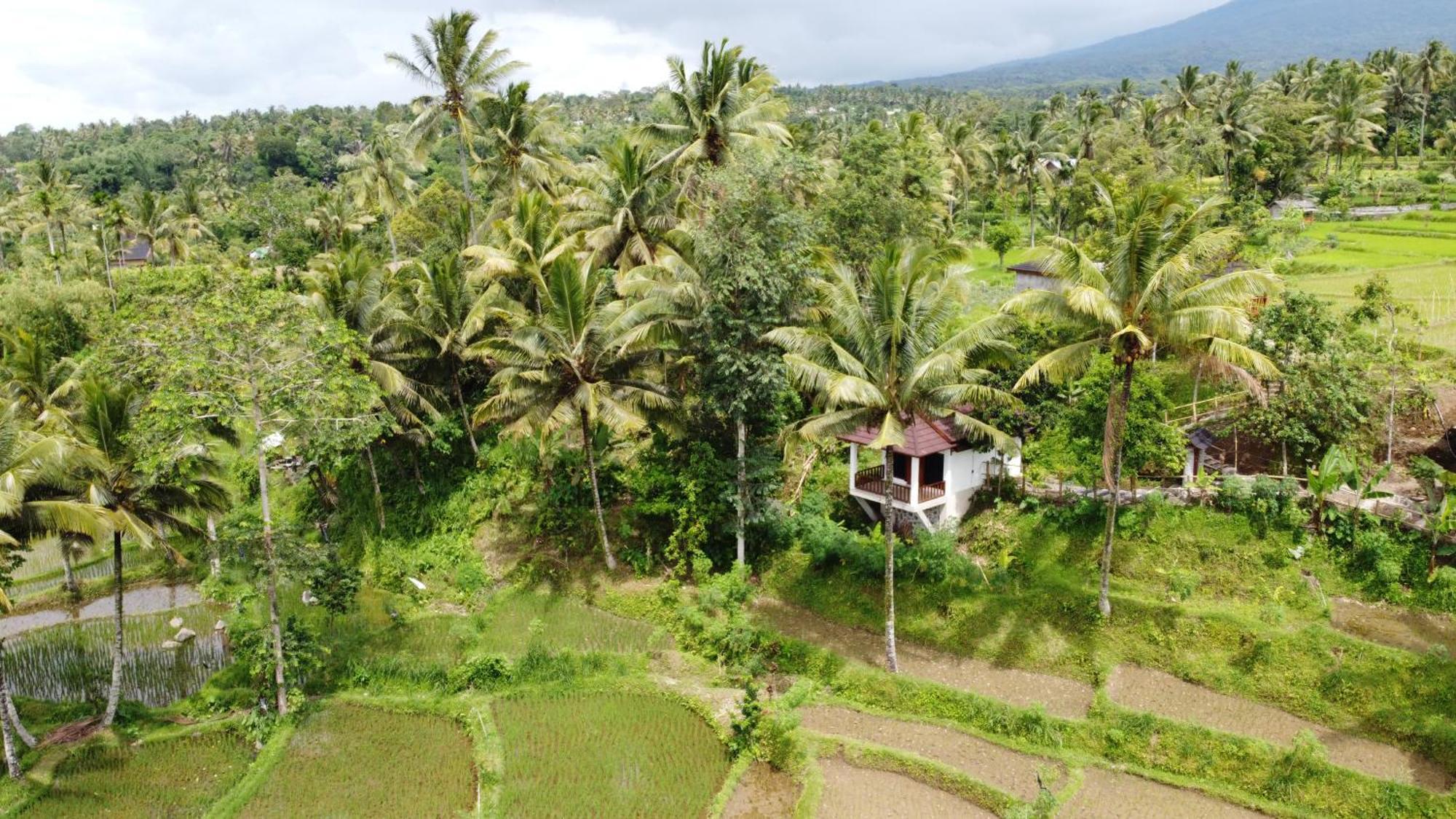 Nea Cottage Lombok Tetebatu Εξωτερικό φωτογραφία