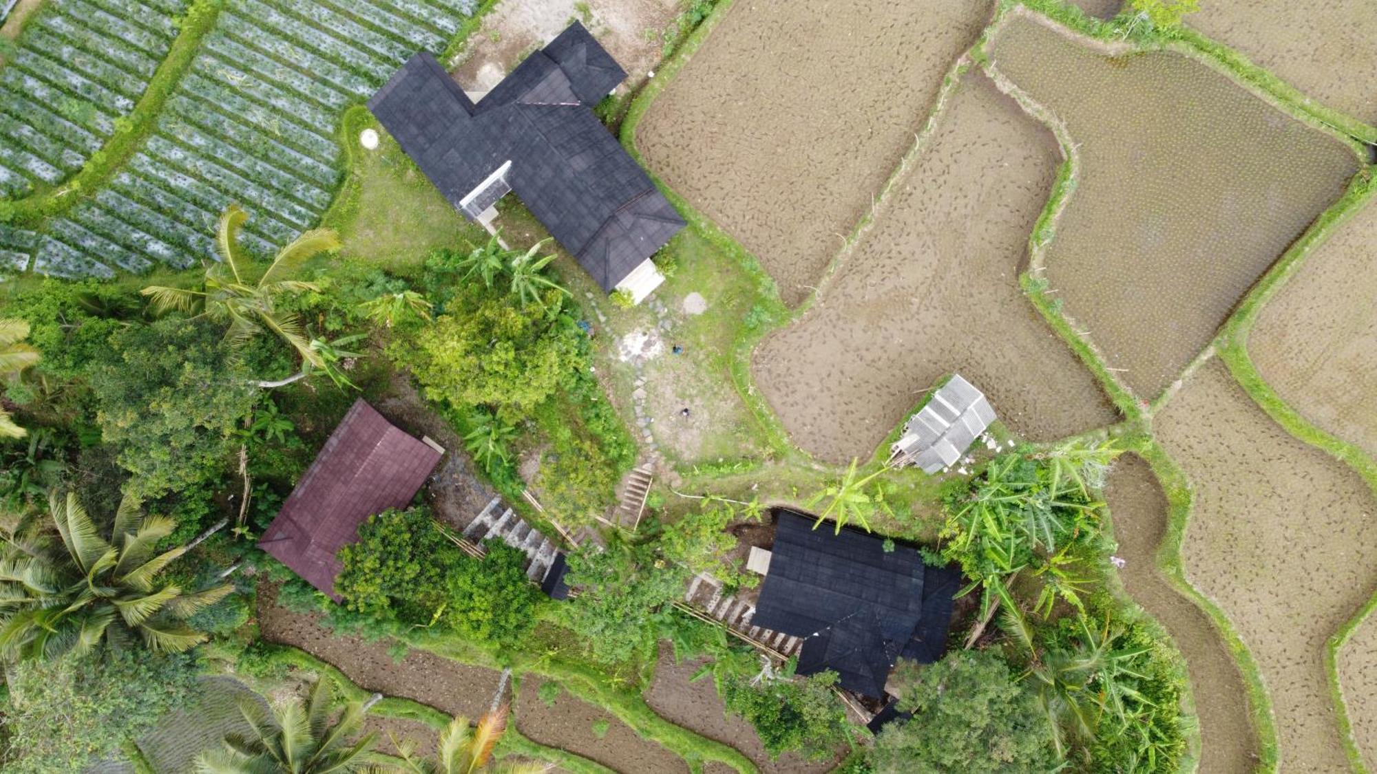 Nea Cottage Lombok Tetebatu Εξωτερικό φωτογραφία