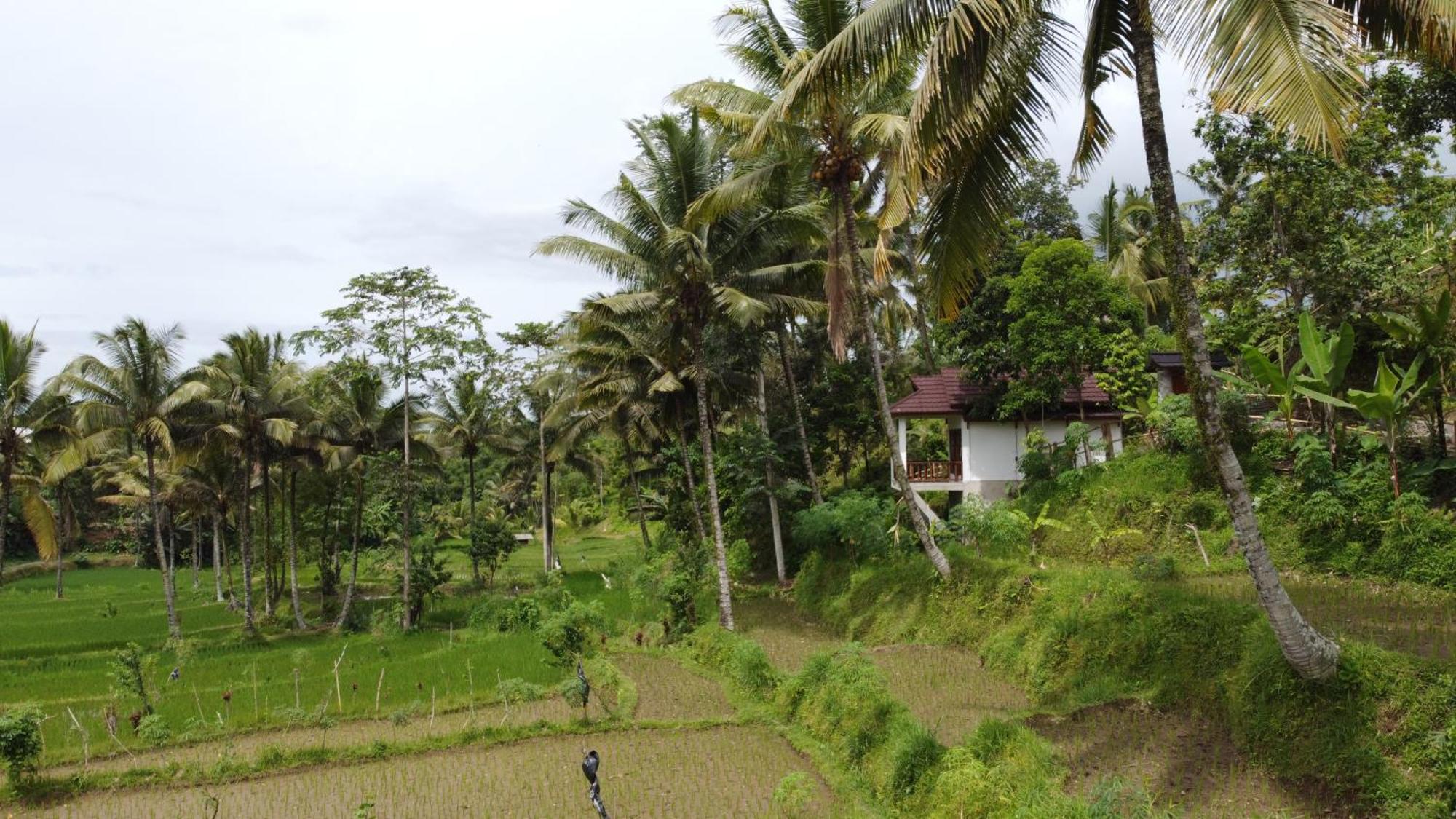 Nea Cottage Lombok Tetebatu Εξωτερικό φωτογραφία