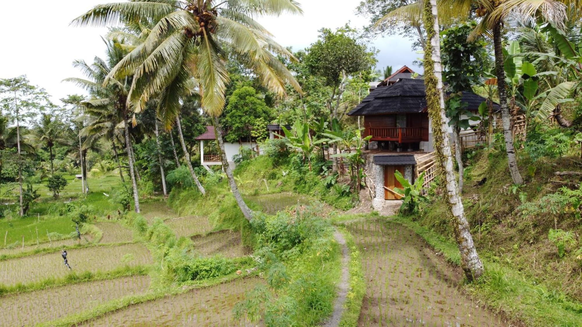 Nea Cottage Lombok Tetebatu Εξωτερικό φωτογραφία