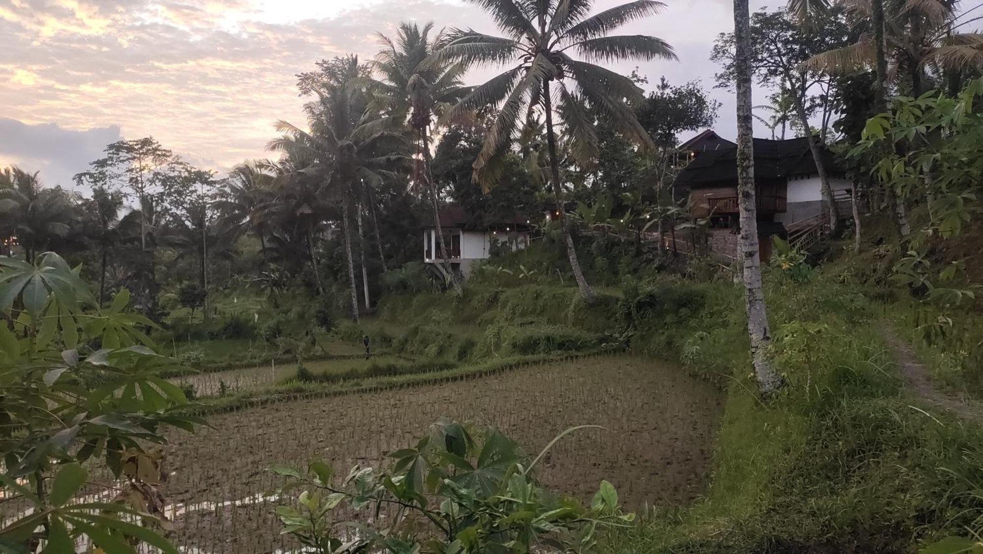 Nea Cottage Lombok Tetebatu Εξωτερικό φωτογραφία