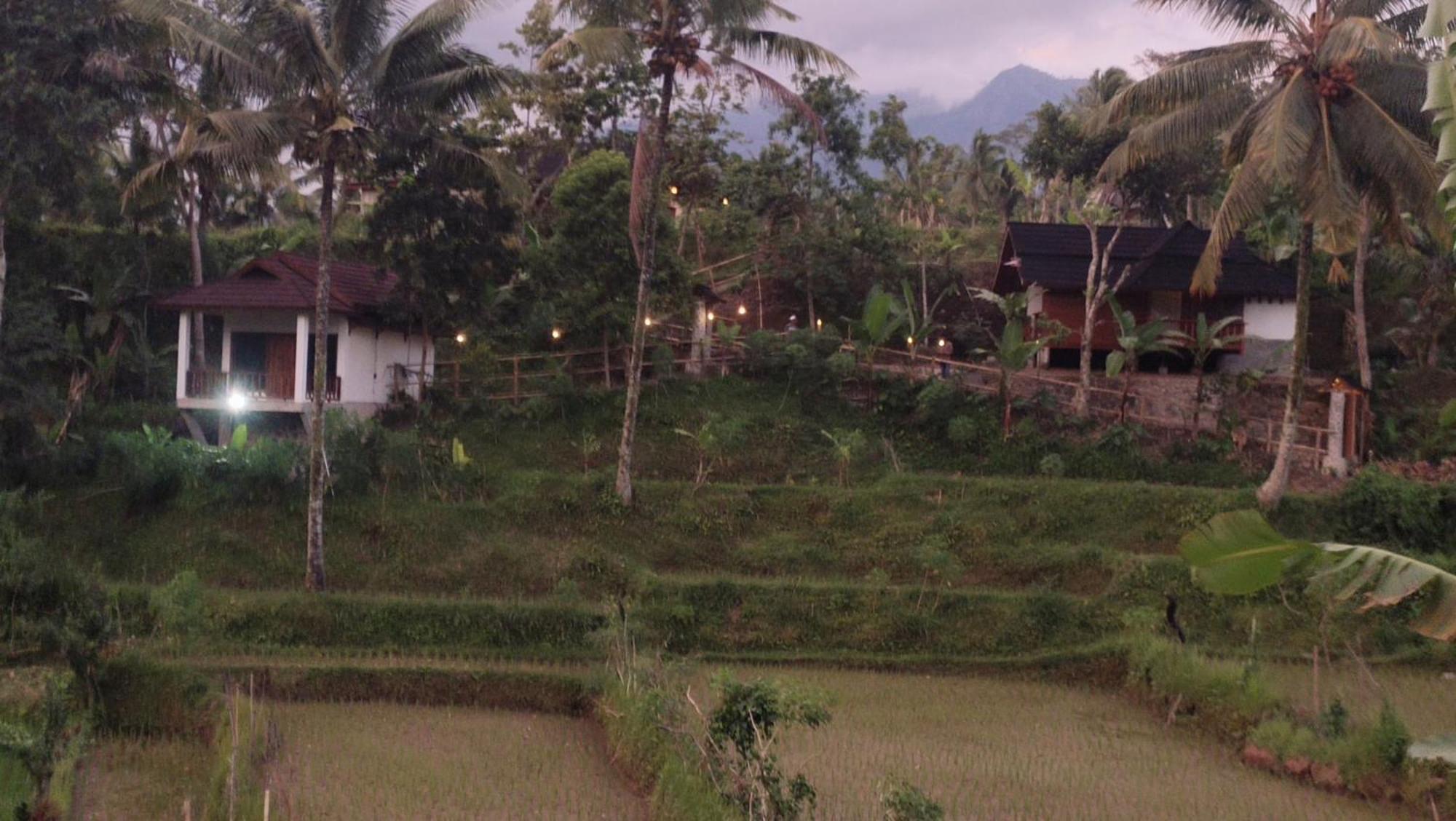 Nea Cottage Lombok Tetebatu Εξωτερικό φωτογραφία
